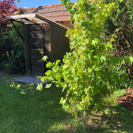 Luxury tent Le Clos Des Reines